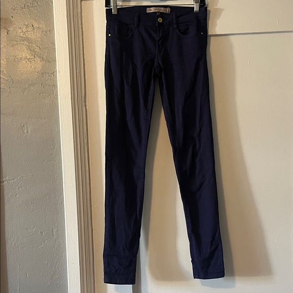 Zara Denim - Trafaluc Purple Denim Pants